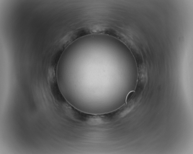 X0000114500523200910191253