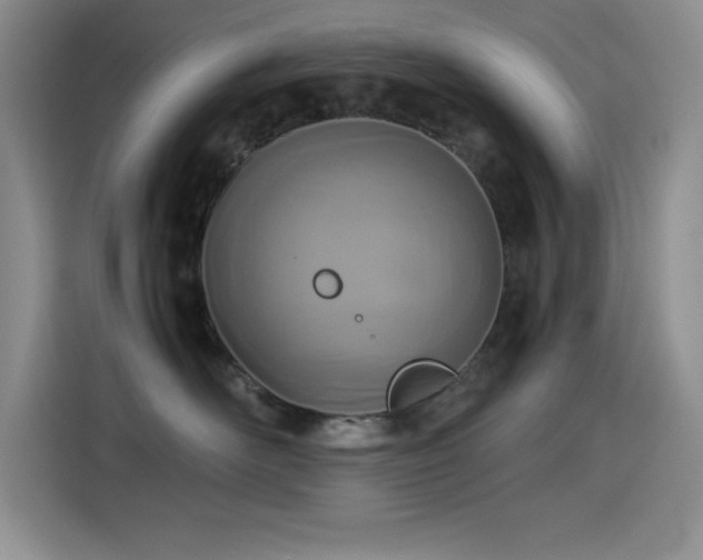 X0000114500526200910191253