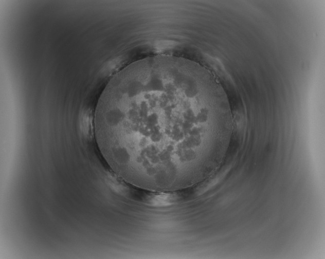 X0000114500527200910191253