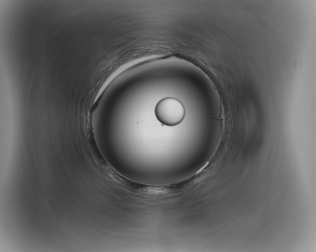 X0000114500528200910191253