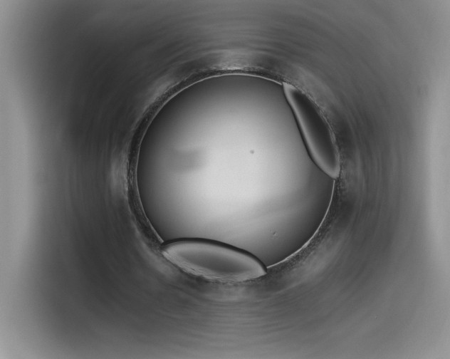 X0000114500530200910191253
