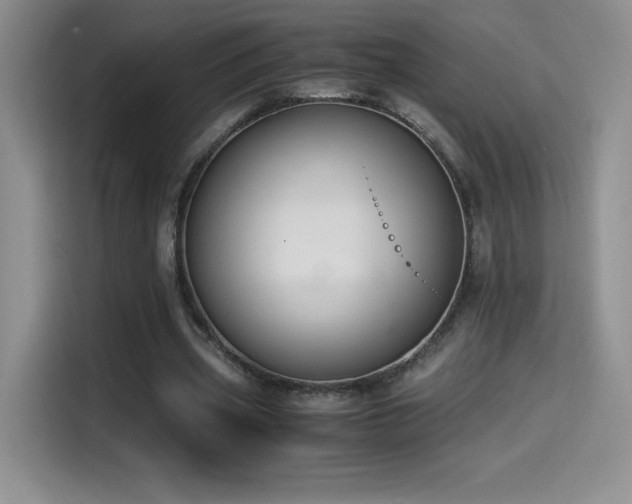 X0000114500533200910191253