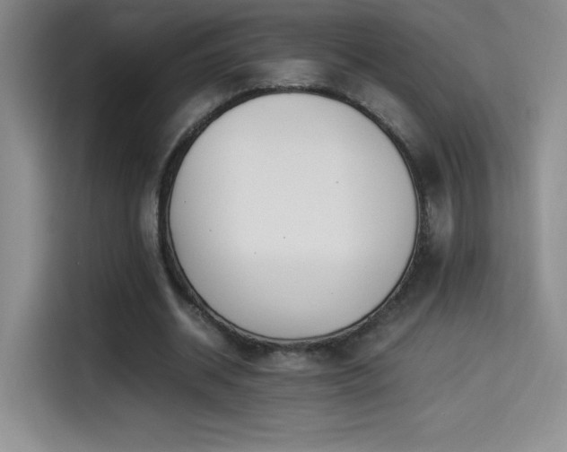 X0000114500534200910191253