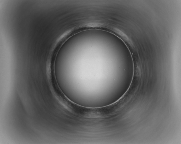 X0000114500535200910191253