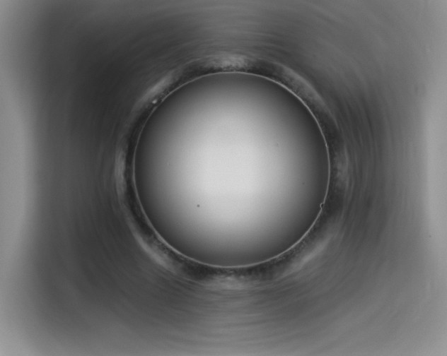 X0000114500538200910191253