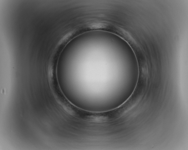 X0000114500539200910191253