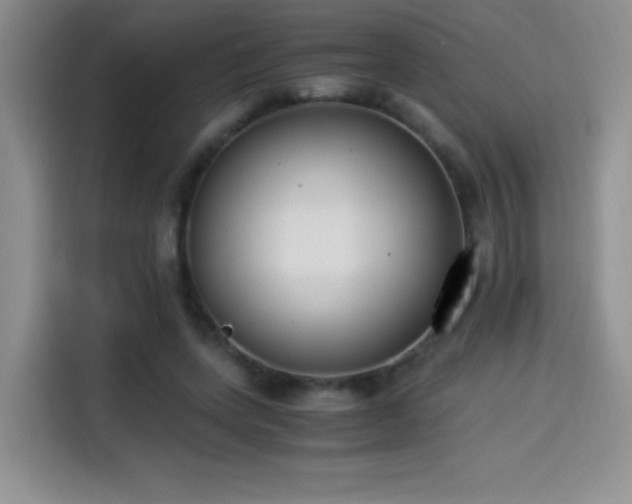 X0000114500543200910191253