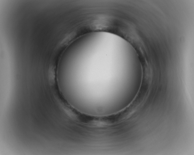 X0000114500545200910191253