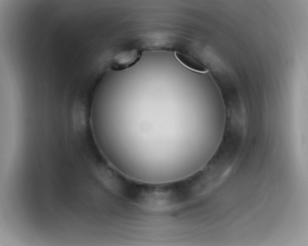 X0000114500546200910191253
