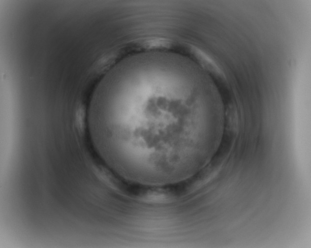 X0000114500550200910191253