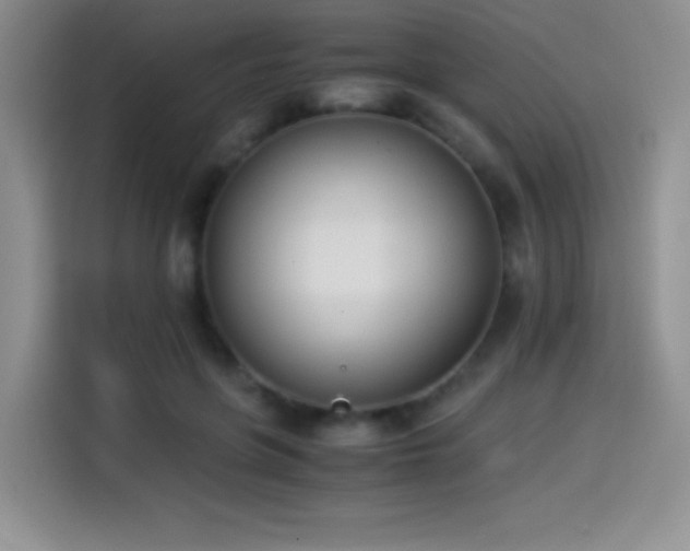 X0000114500551200910191253