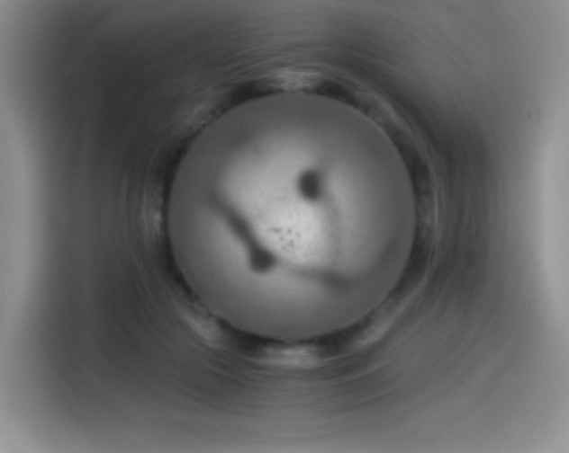 X0000114500553200910191253