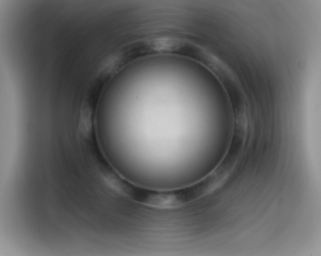 X0000114500554200910191253
