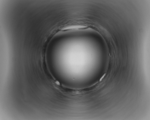 X0000114500558200910191253