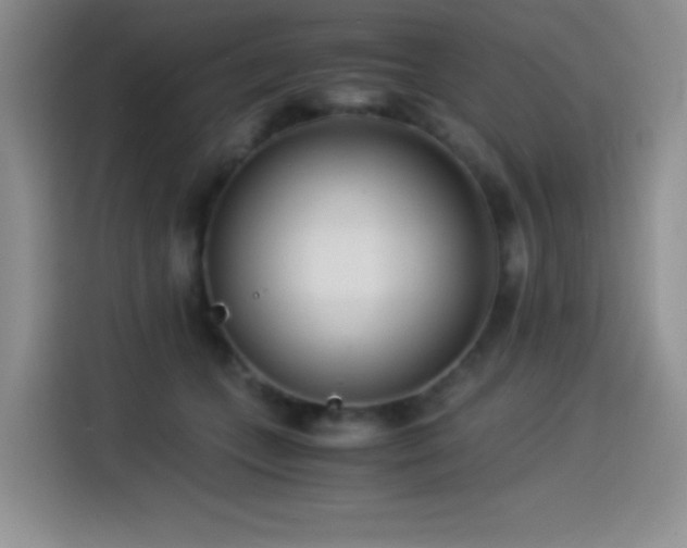 X0000114500559200910191253