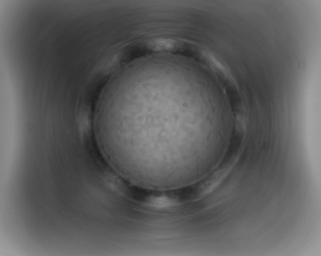 X0000114500561200910191253