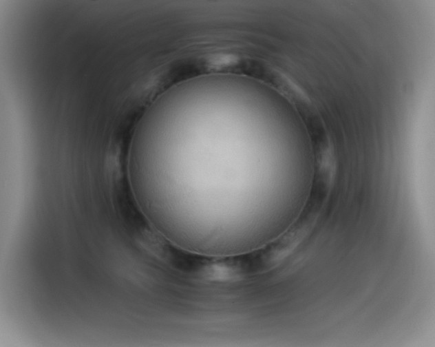 X0000114500565200910191253