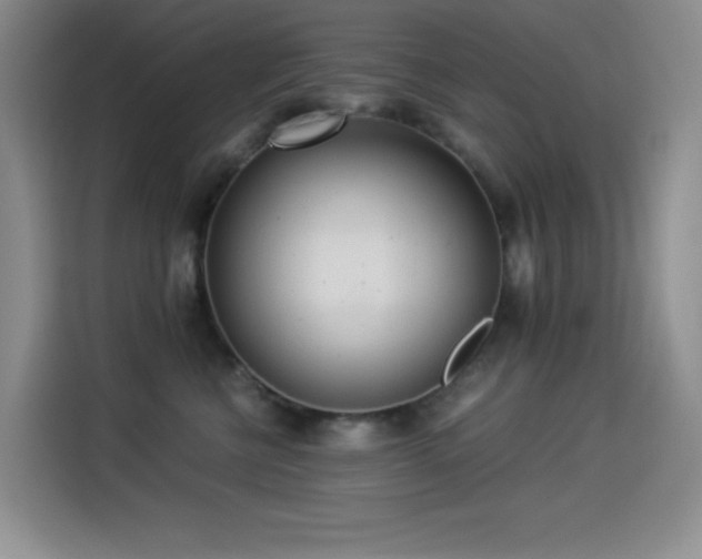 X0000114500570200910191253