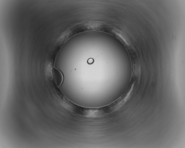 X0000114500575200910191253