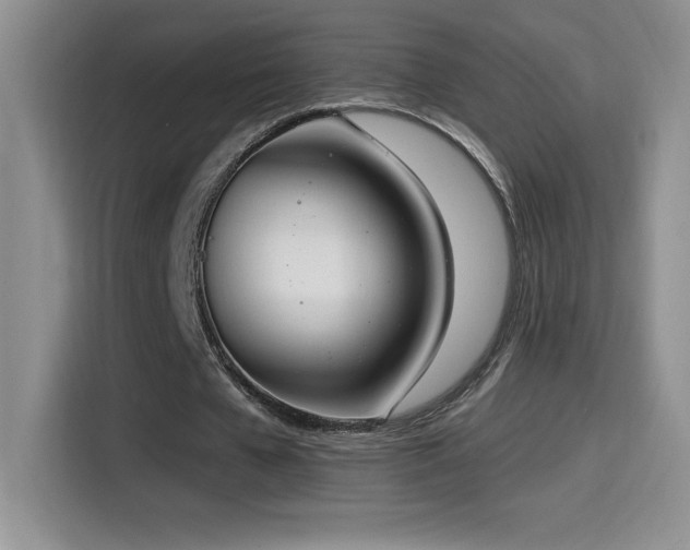 X0000114500577200910191253