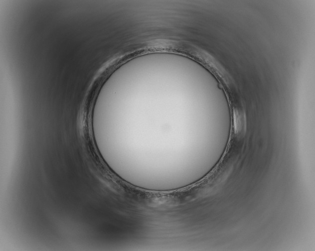 X0000114500579200910191252