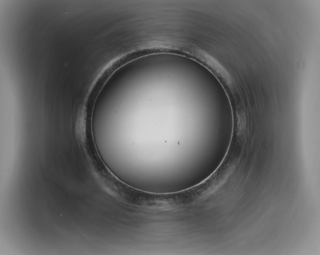 X0000114500580200910191252