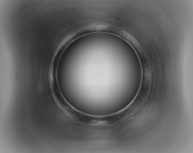 X0000114500582200910191252