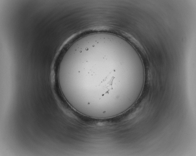 X0000114500584200910191252