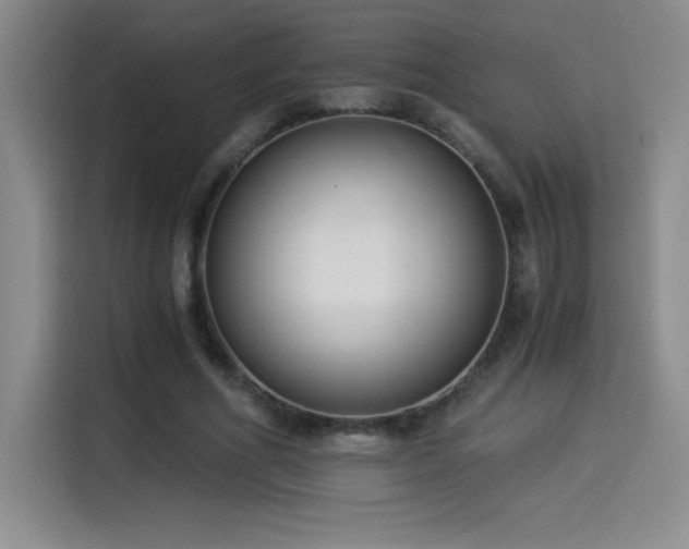 X0000114500586200910191252