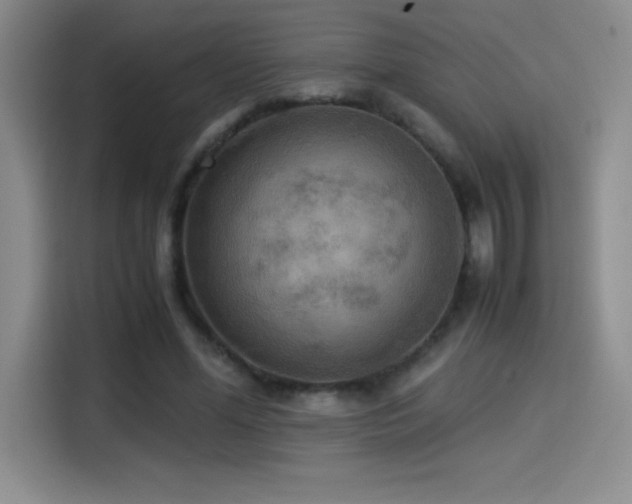 X0000114500588200910191252