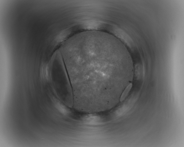 X0000114500589200910191252