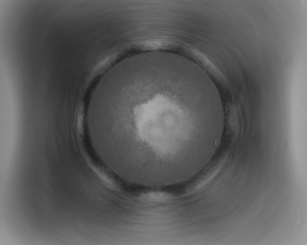 X0000114500590200910191252