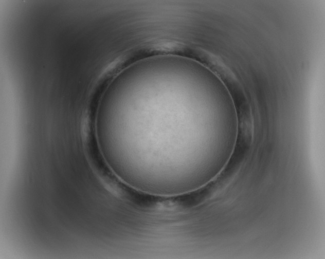 X0000114500591200910191252
