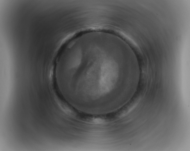 X0000114500592200910191252