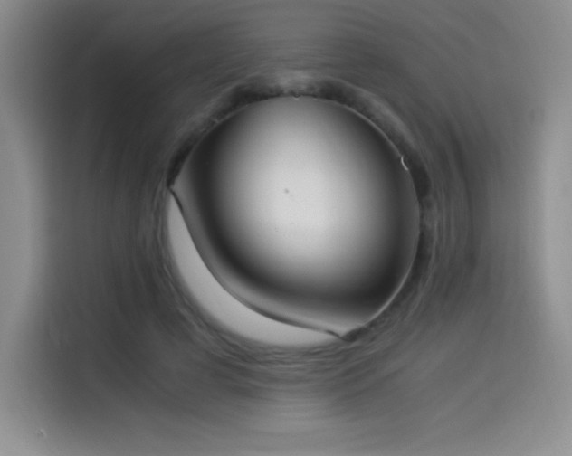 X0000114500593200910191252