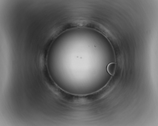 X0000114500594200910191252