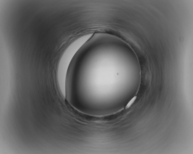 X0000114500595200910191252