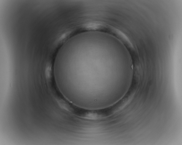 X0000114500596200910191252