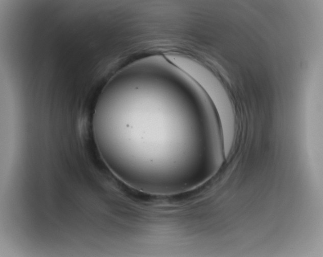 X0000114500597200910191252