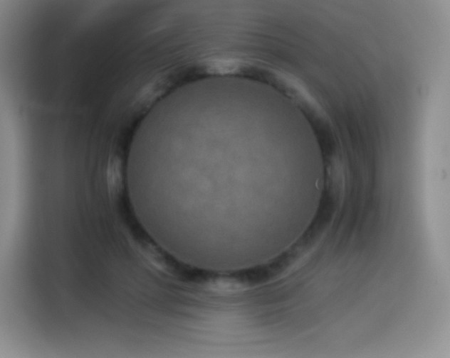 X0000114500598200910191252