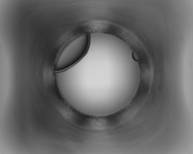 X0000114500599200910191252