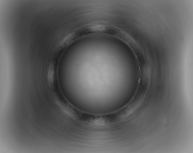 X0000114500600200910191252