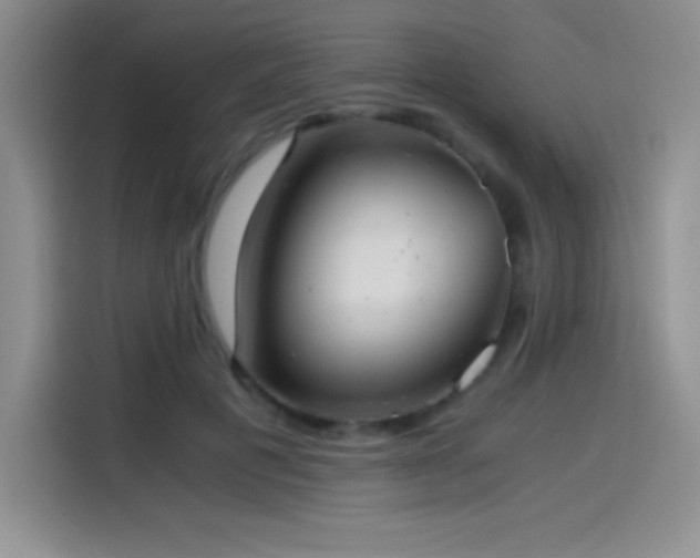 X0000114500601200910191252
