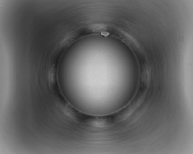 X0000114500604200910191252