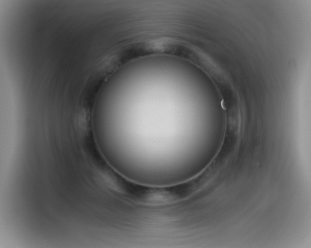 X0000114500605200910191252
