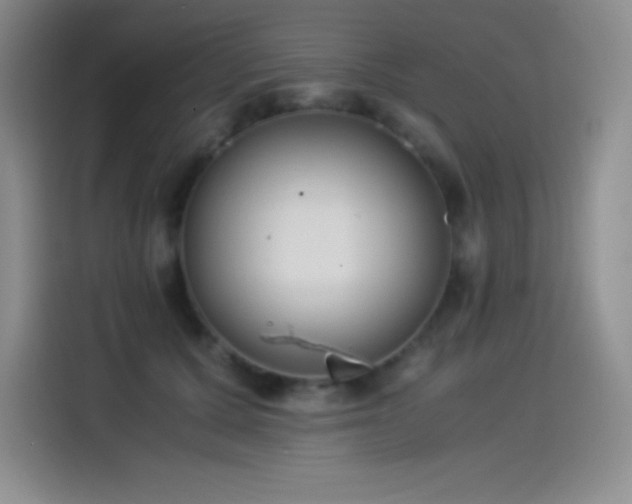 X0000114500607200910191252