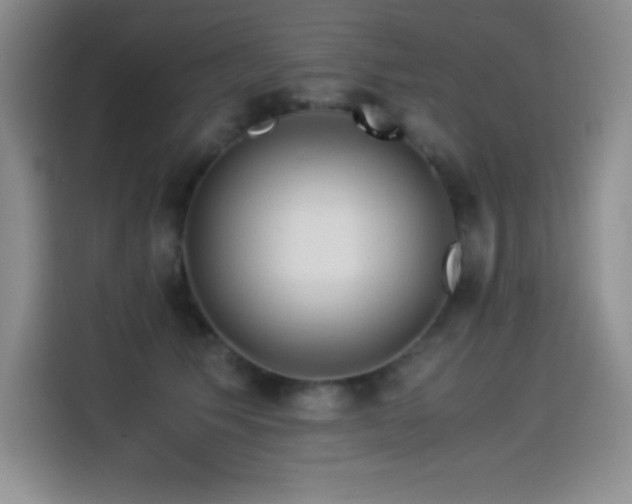 X0000114500609200910191252