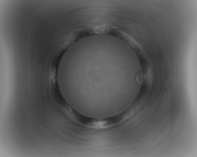 X0000114500610200910191252