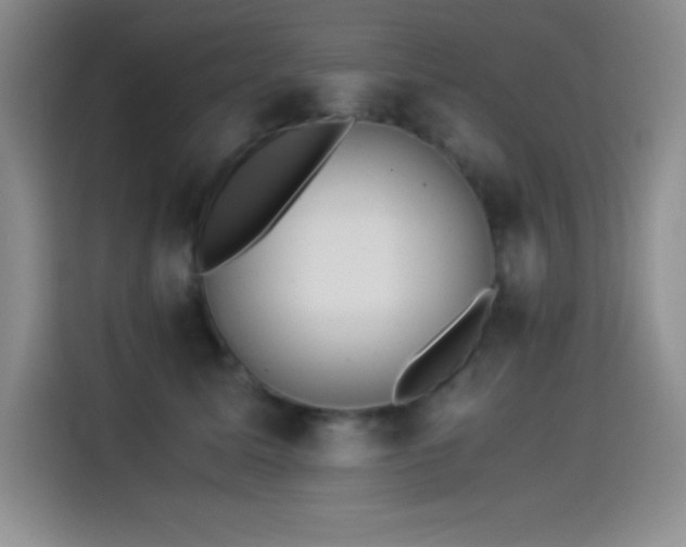 X0000114500611200910191252