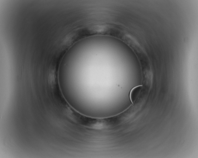 X0000114500612200910191252